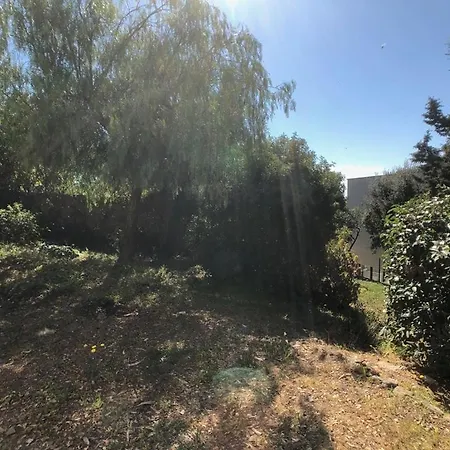 Villa Lavandou Vue Mer Et Dependance *